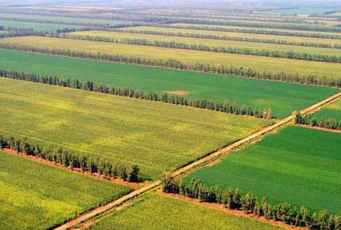 咸陽2016年高標準基本農田建設項目 咸陽2016年高標準基本農田建設項目